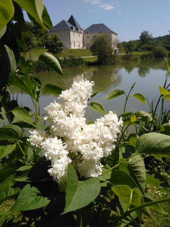 Domaine De Lardoisiere Chateau-Salins